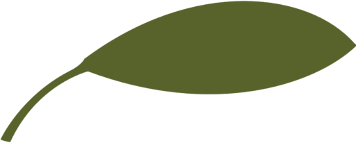 Sage 70 leaf icon