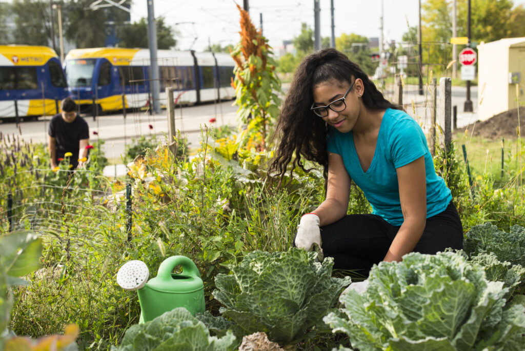 Community members gardening in an urban green space beside public transit.